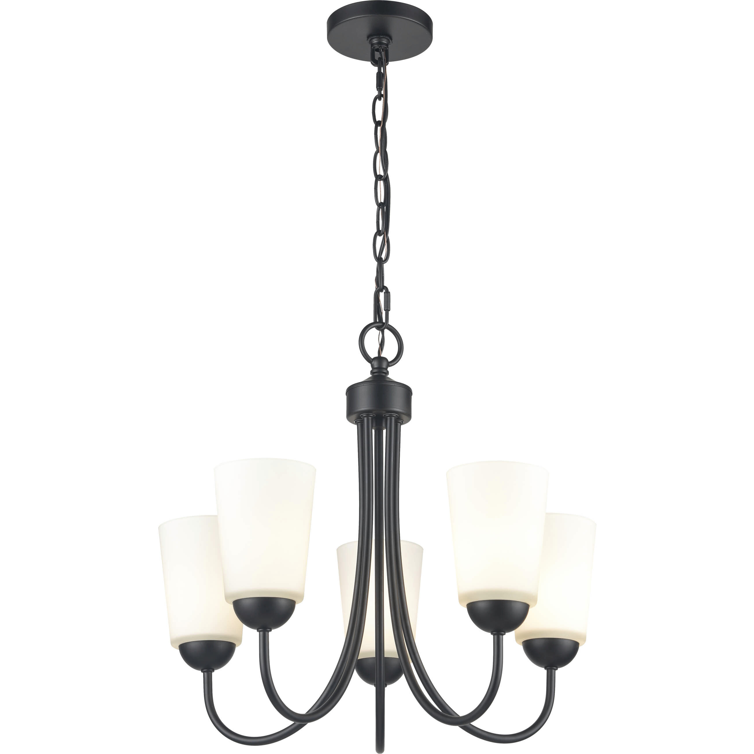 Ivey Lake 5 Light 20 inch Matte Black Chandelier Ceiling Light